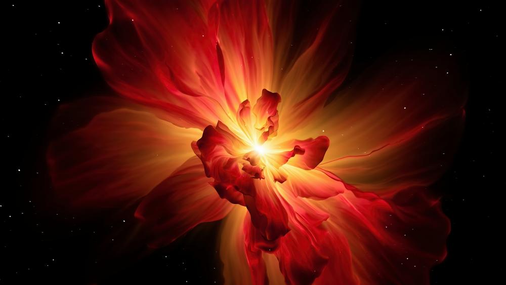 Supernova Blossom wallpaper