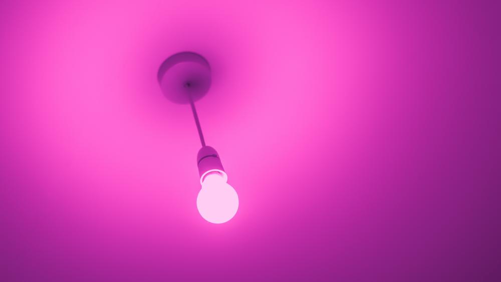 Neon Magenta Glow Minimalist Lightbulb Abstract Wallpaper wallpaper