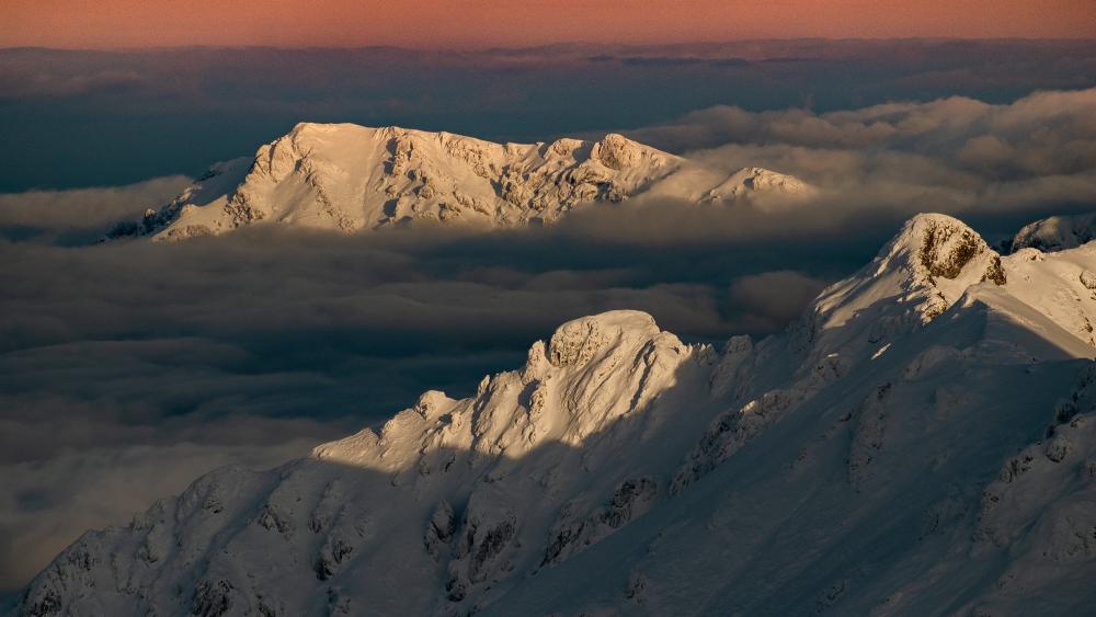 Sunlit Winter Peaks Above a Sea of Clouds 4K Wallpaper wallpaper