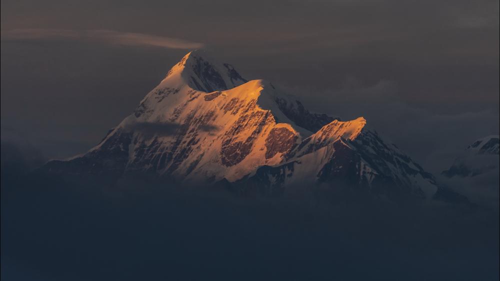 Golden Alpenglow on Trisul Peak in Uttarakhand Himalayas wallpaper