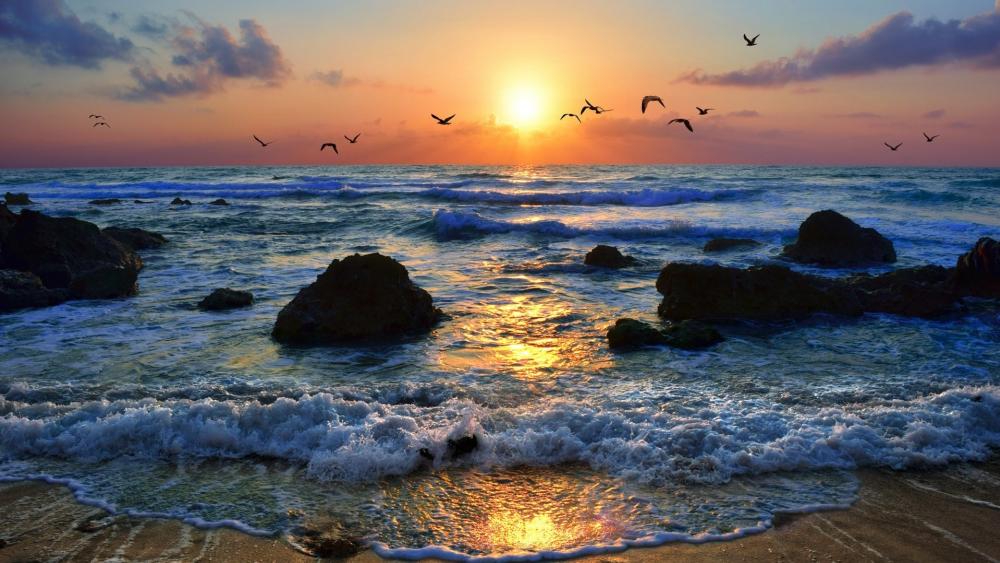 Golden Afterglow Over Rocky Coastline at Dusk wallpaper