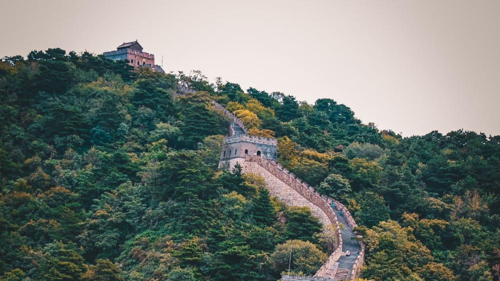 Mutianyu Great Wall Winding Through Forested Mountains at Dusk wallpaper