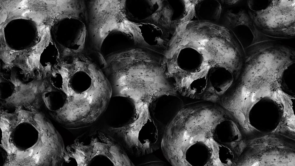 Monochrome Skull Pile Shadows in Silent Bone Landscape wallpaper