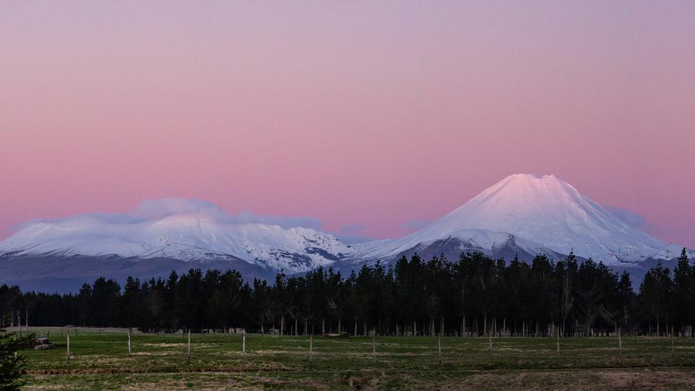 Pastel Dawn Over Snowy Mount Ruapehu Volcano New Zealand wallpaper