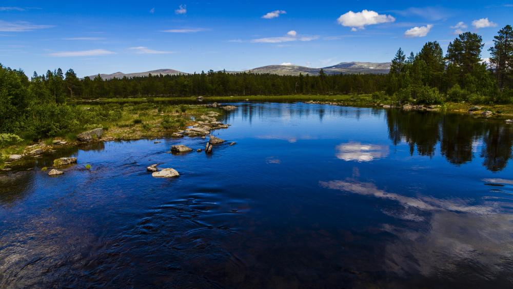 Mirror Calm Lake in Femundsmarka National Park Norway wallpaper
