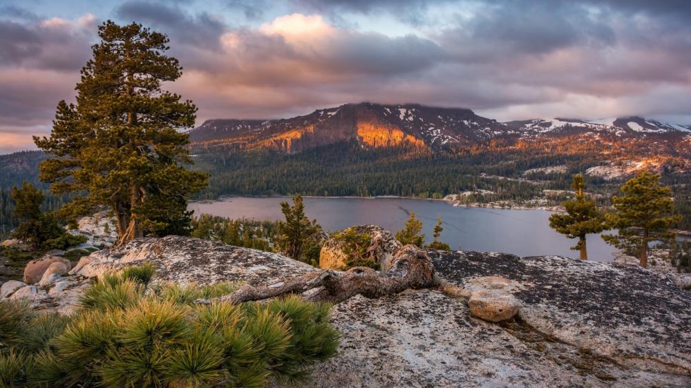 Sunset Glow Over Donner Lake and Sierra Nevada Pines wallpaper