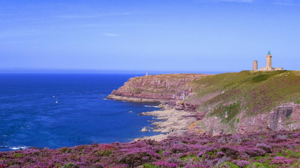 Cap Fréhel Lighthouse Above Heather Cliffs and Atlantic Horizon wallpaper
