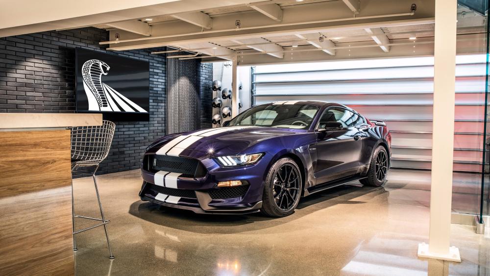 Ford Shelby GT350 in Modern Garage 4K Muscle Car Wallpaper wallpaper