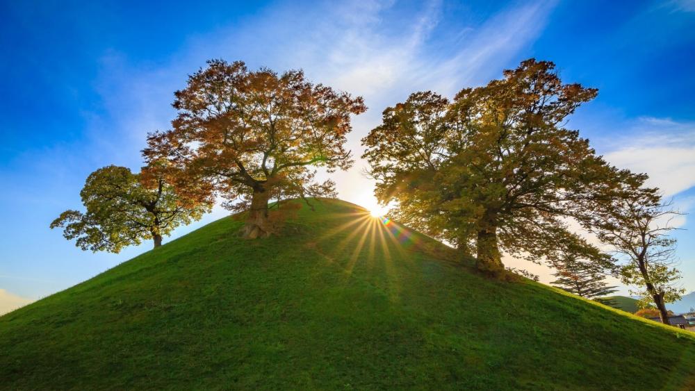 Sunburst Over Autumn Trees at Daereungwon Tomb Complex Gyeongju wallpaper