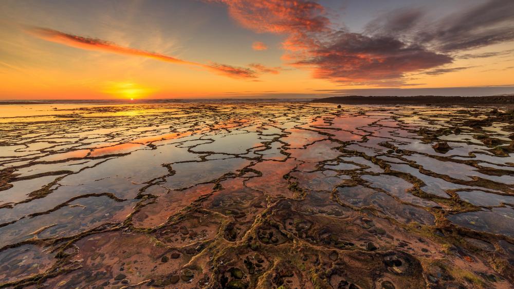 Golden Dusk Over Tidal Flats and Endless Sea Horizon wallpaper