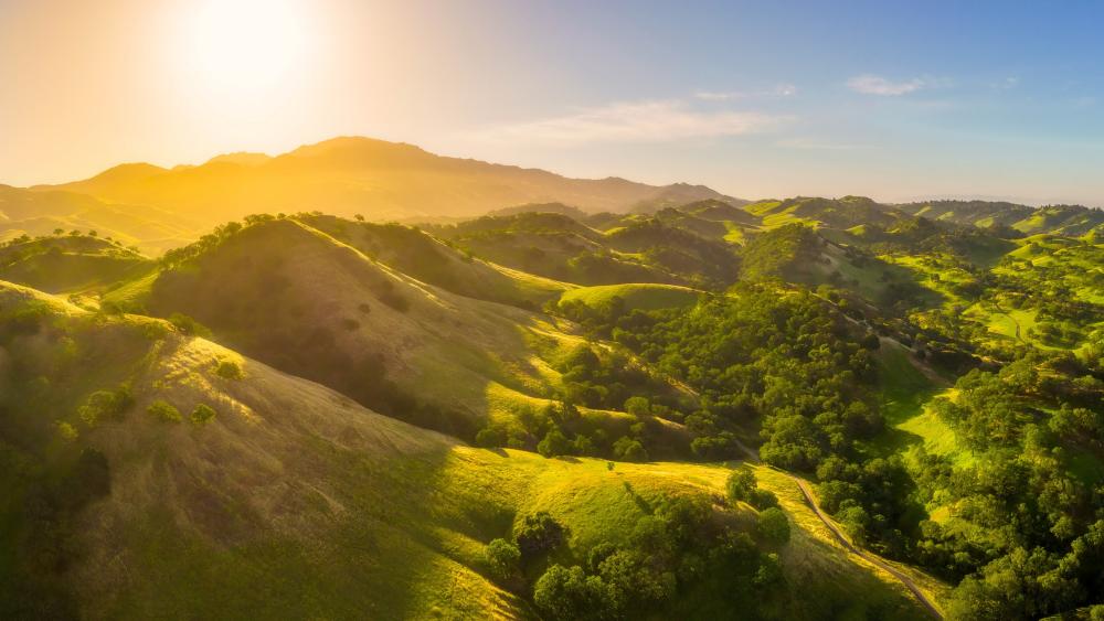 Sunlit Green Hills and Valleys in a Golden Landscape wallpaper