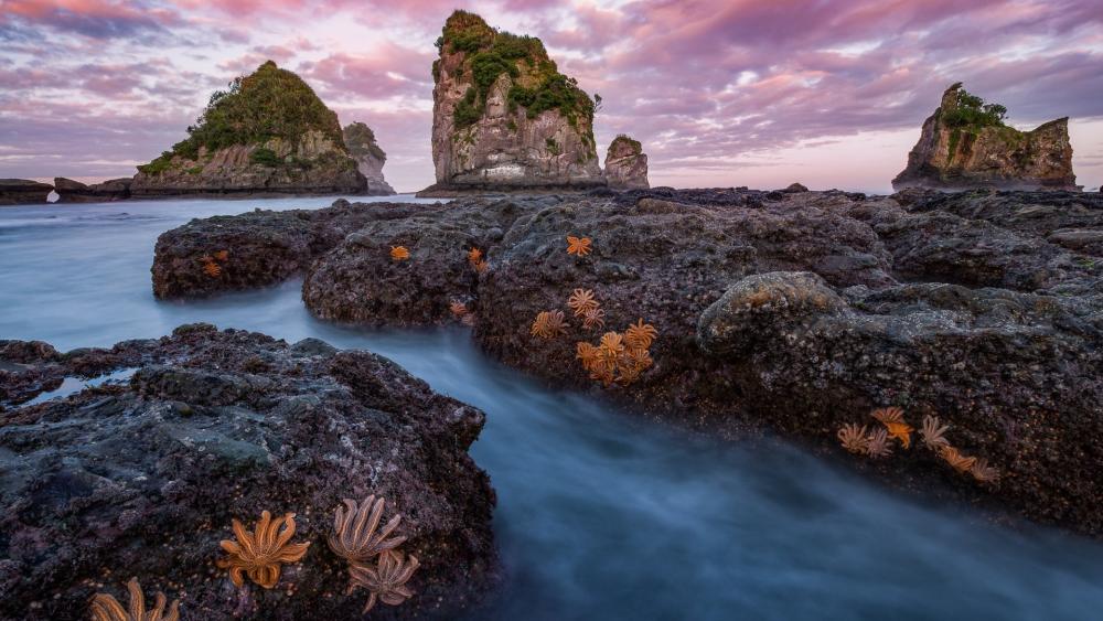 Sunset Sea Stacks Over a Rugged Rocky Shore wallpaper