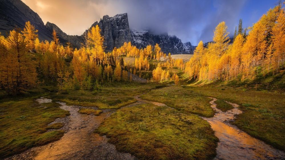 Canadian Rockies wallpaper