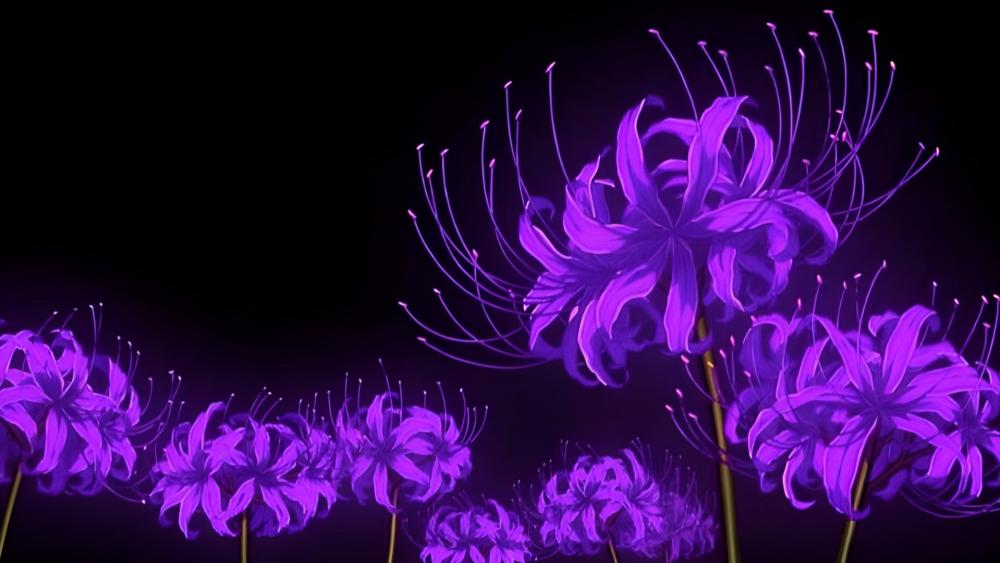 Neon Purple Spider Lilies Glowing Against Midnight Black wallpaper