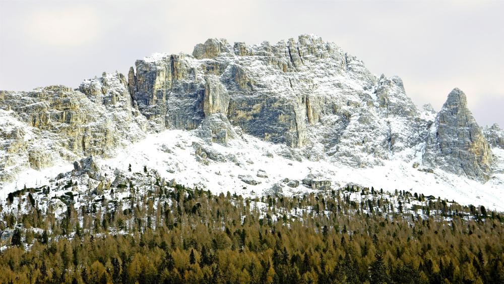 Snowy Dolomite Peaks Above Alpine Forest in Winter Light wallpaper