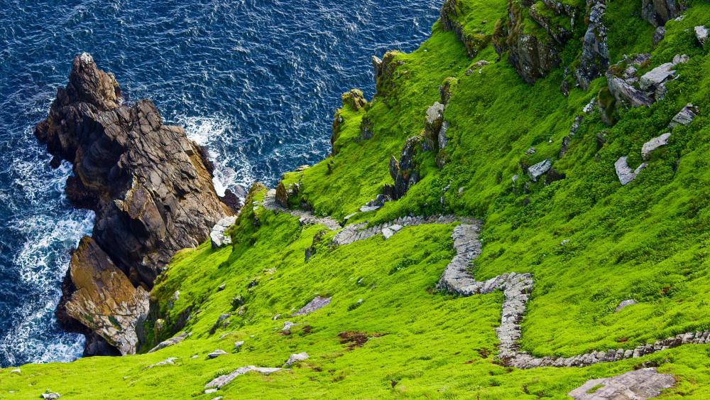 Emerald Cliffs Above the Atlantic at Great Skellig Ireland wallpaper