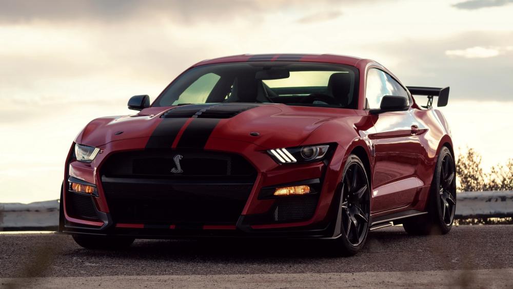 Red Ford Shelby GT500 at Sunset in 4K Detail wallpaper