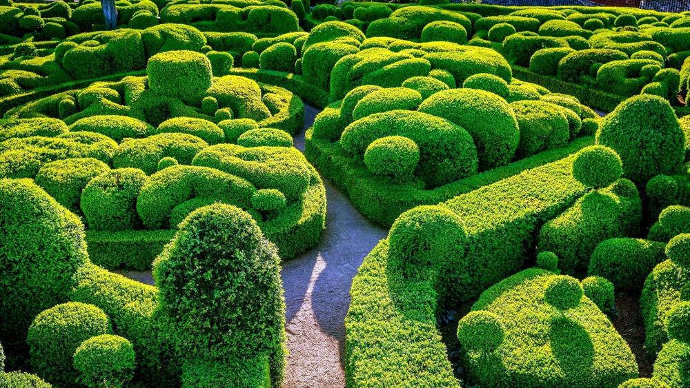 Sunlit Topiary Labyrinth in the Marqueyssac Gardens France wallpaper