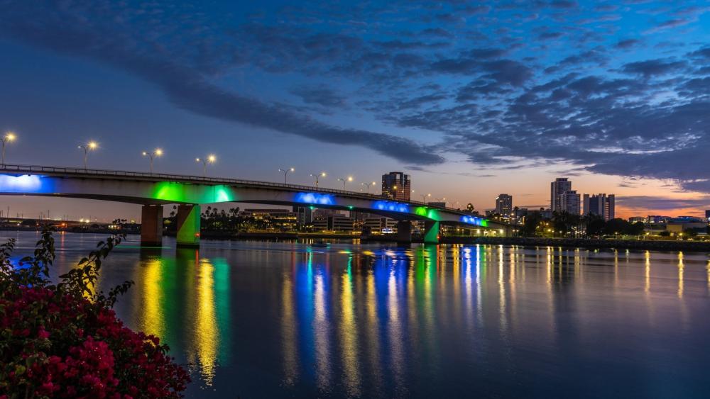 Queens Way Bridge Lights Over Long Beach at Night wallpaper
