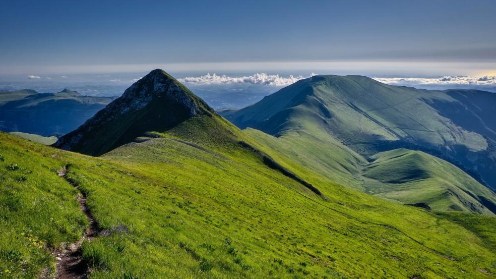 Sunlit Green Mountain Ridges Above a Sea of Clouds wallpaper