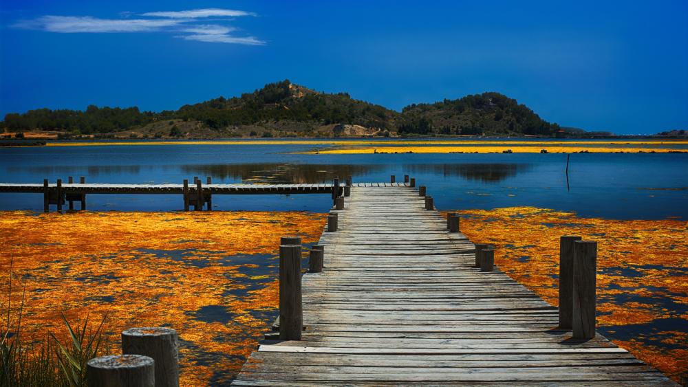 Sunlit Pier Over Calm Lagoons in Peyriac de Mer France wallpaper