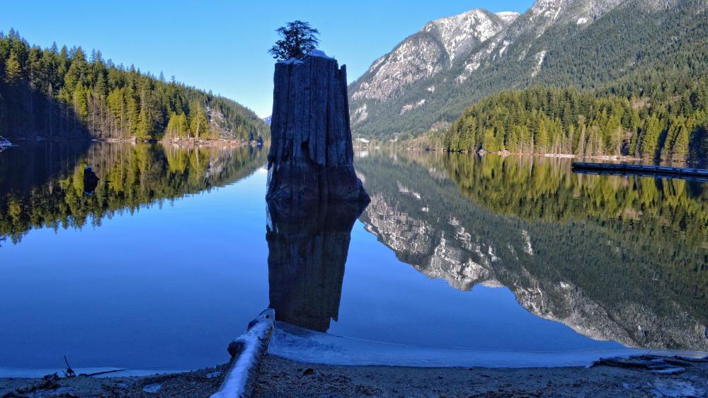 Mirror Calm at Lacul Roșu Romania Mountain Lake Reflection wallpaper