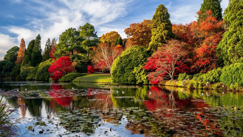 Autumn Reflections on Sheffield Park Lake in the United Kingdom wallpaper