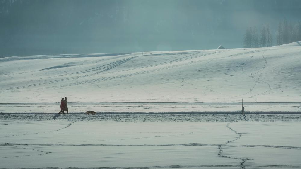 Quiet Winter Walk Across Vast Snowy Fields in 5K wallpaper
