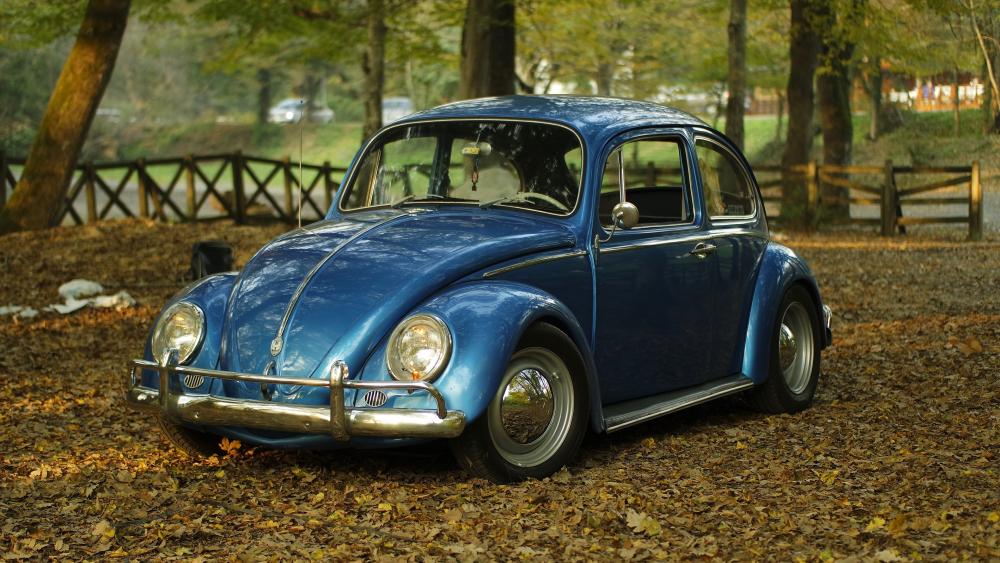 Blue Volkswagen Beetle in Autumn Park 4K Vintage Car Wallpaper wallpaper