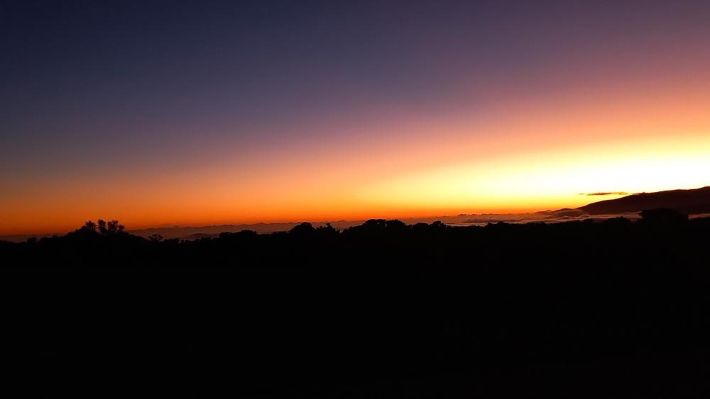 Twilight Horizon Over Silent Hills at Golden Sunset wallpaper
