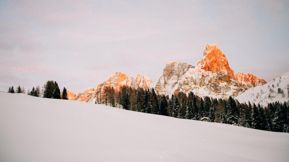 Alpenglow Peak Above Silent Winter Pines in Crisp 5K wallpaper