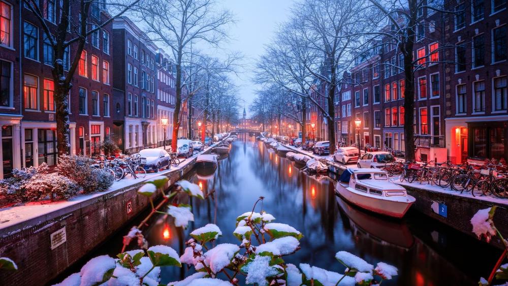 Snowy Amsterdam Canal Glow in Winter Twilight wallpaper