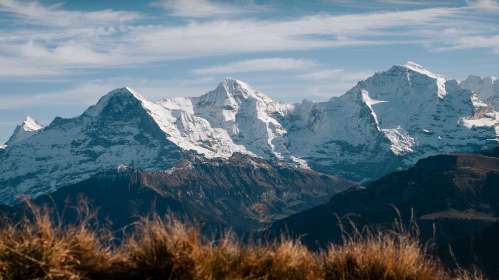 Snowcapped Alps Panorama Above Eigergletscher Switzerland wallpaper