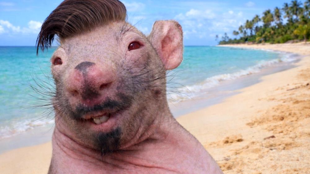 Beach Rat Selfie With Fresh Fade Meme Energy in Crisp 4K wallpaper