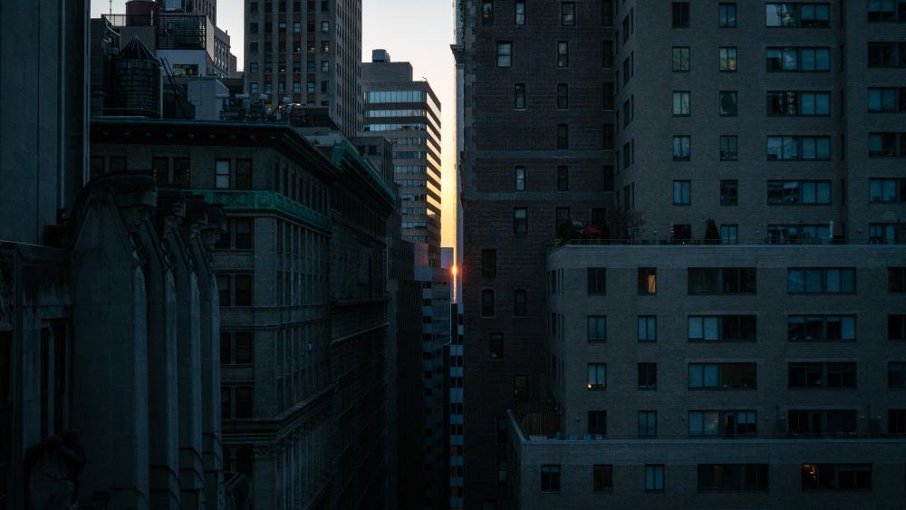 Sunset Slice Between Skyscrapers in a Quiet Metropolis wallpaper