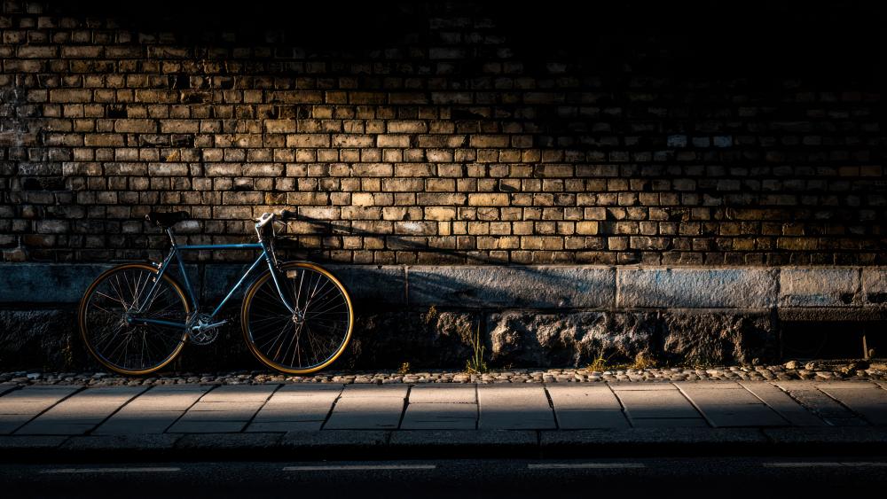 Silent Street Bicycle Against Brick Wall in Golden Shadow wallpaper