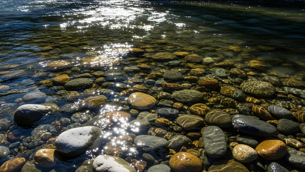 Sunlit Crystal Riverbed Over Smooth Pebbles in Clear Water wallpaper