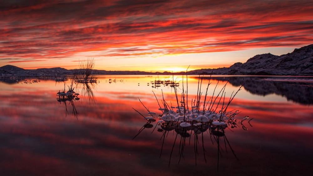 Crimson Sunset Reflections Over a Quiet Loch at Golden Hour wallpaper