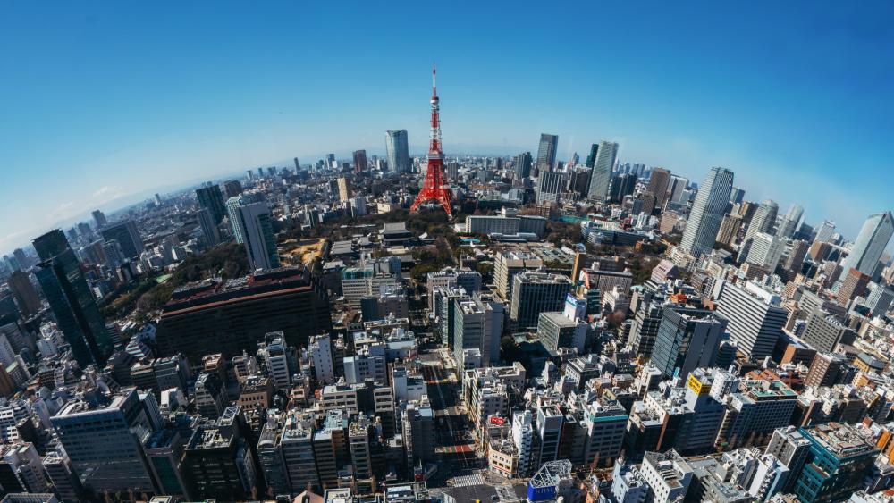 Tokyo Tower Rising Over Minato City Skyline Panorama wallpaper