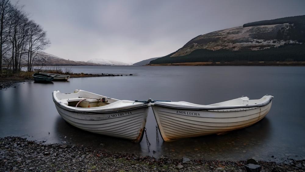 Moody Loch Eck White Boats on a Quiet Scottish Lake Shore wallpaper