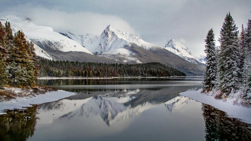 Winter Mirror at Maligne Lake in Jasper National Park wallpaper