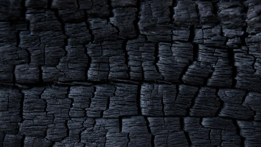 Ash Black Charcoal Cracks in Burnt Wood Texture Wallpaper wallpaper