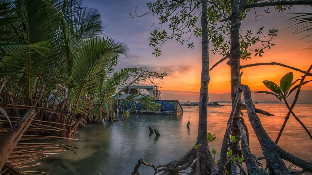 Tropical Dusk Serenity Over Calm Lagoon and Mangrove Shoreline wallpaper