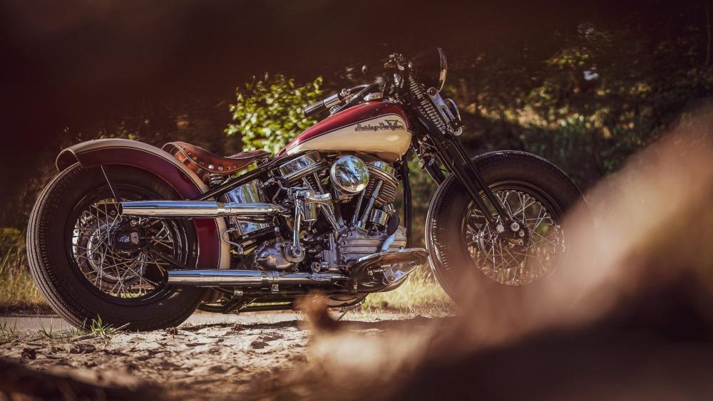 Vintage Harley Davidson Cruiser In Golden Hour Roadside Glow wallpaper