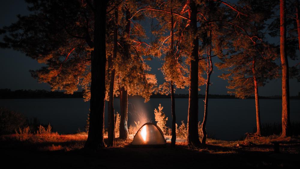 Midnight Campfire Glow Beside a Quiet Forest Lake wallpaper