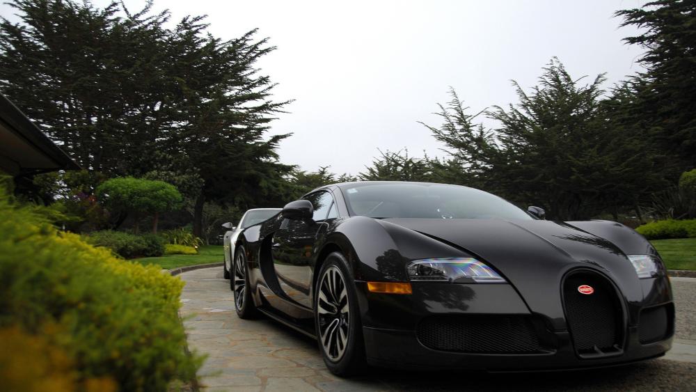 Sleek Black Bugatti Veyron Parked Among Lush Garden Trees wallpaper