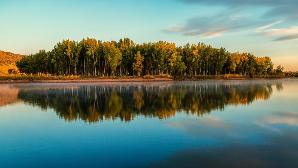 Golden Lakeside Reflection at Peaceful Sunset in 5K wallpaper