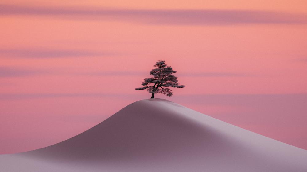 Solitary Pine on a Dreamy Pink Hill in Minimal Fantasy Art wallpaper