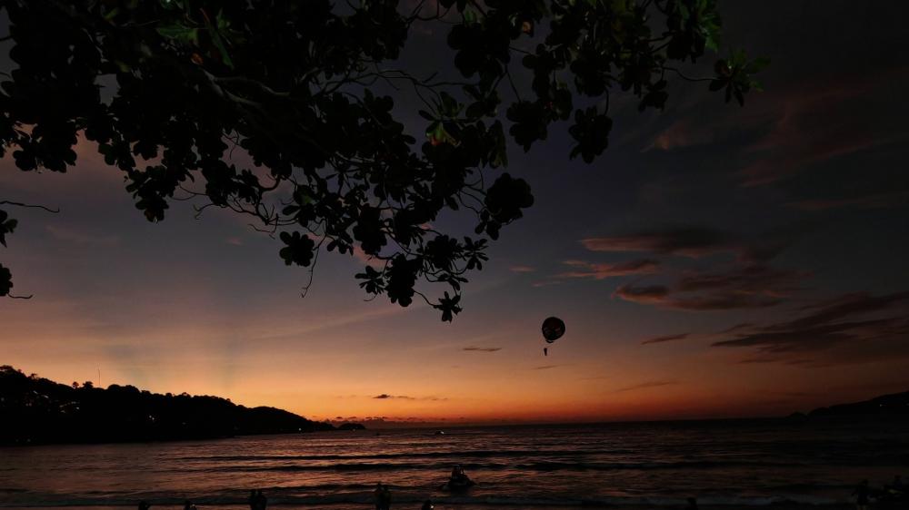 Phuket Twilight Shoreline Under Silhouetted Leaves and Fading Sunset Skies wallpaper