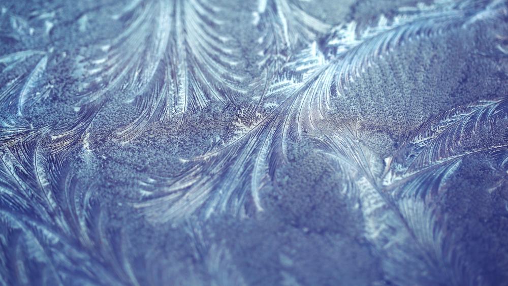 Blue Frost Feathers in Macro Winter Glass Texture wallpaper